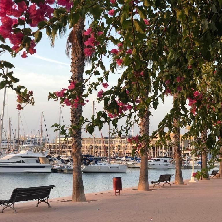 10-46-1- Комната В Квартире Для 4 Человек В Аликанте Alicante Exteriör bild